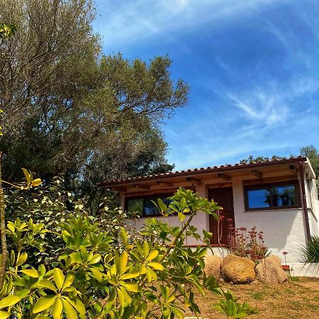 Casa Saltara (Adults Only) Vila Santa Teresa Gallura Exterior foto