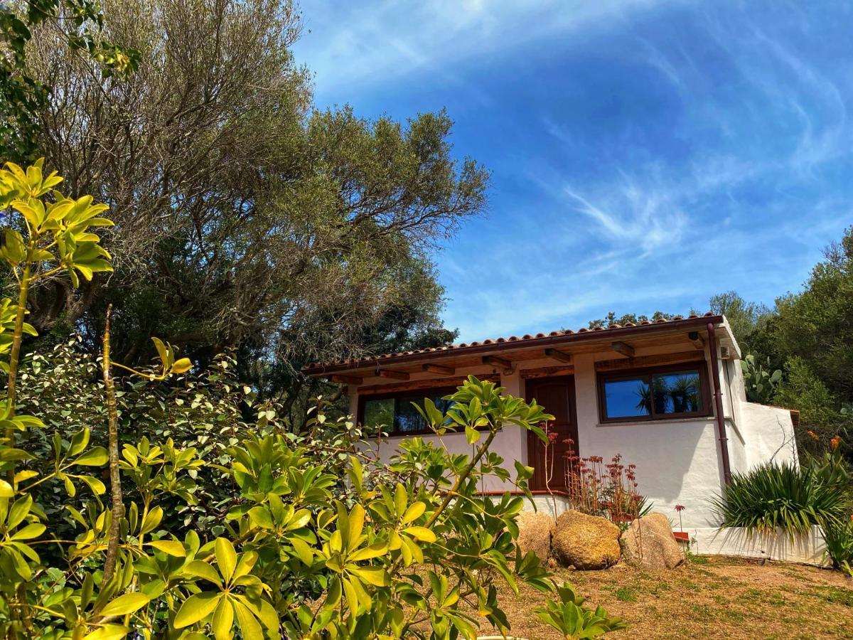 Casa Saltara (Adults Only) Vila Santa Teresa Gallura Exterior foto