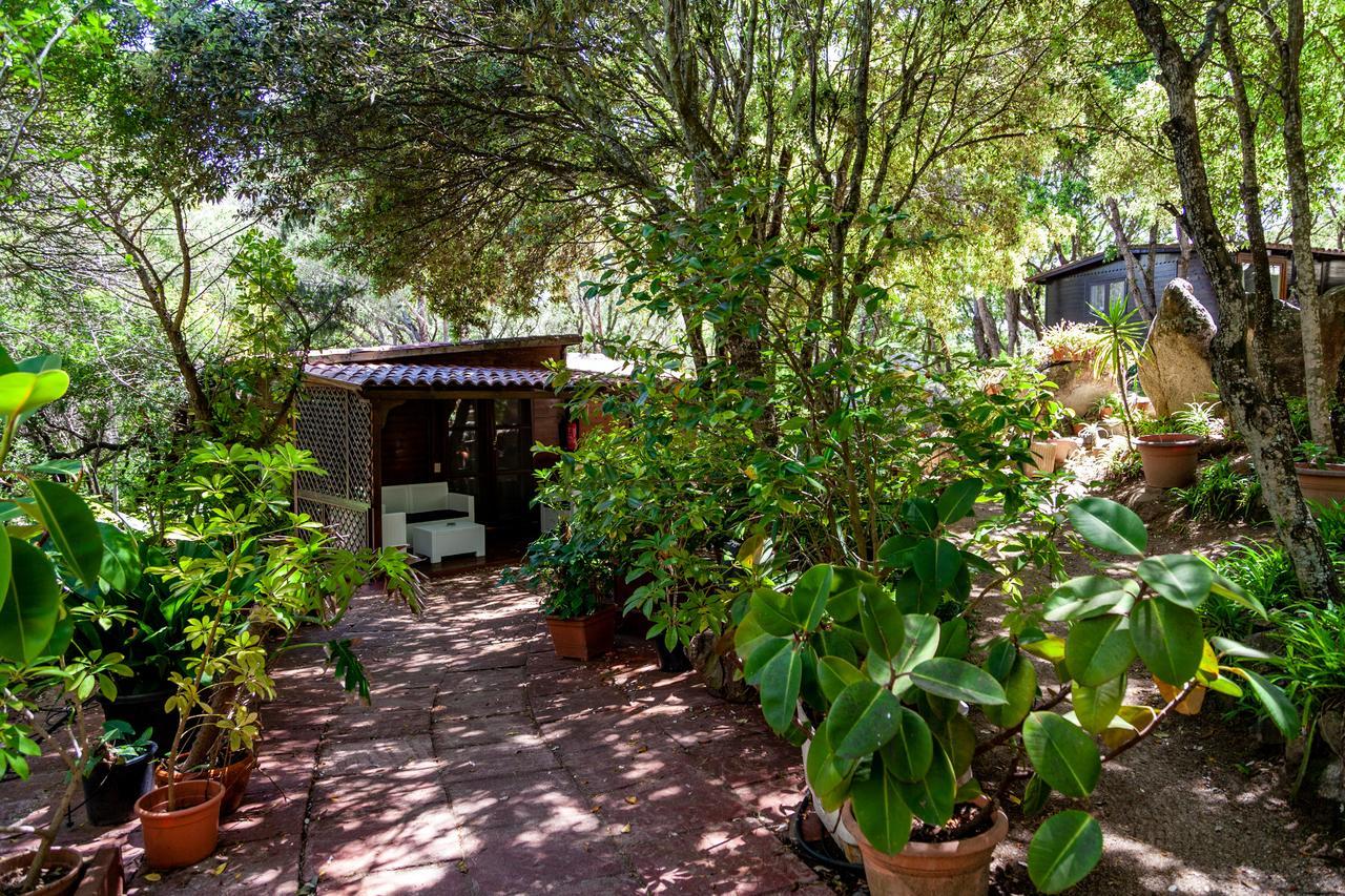 Casa Saltara (Adults Only) Vila Santa Teresa Gallura Exterior foto