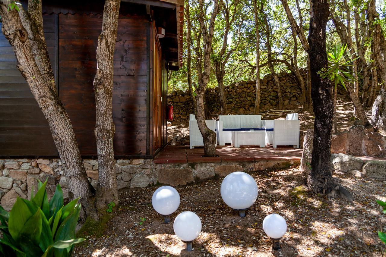 Casa Saltara (Adults Only) Vila Santa Teresa Gallura Exterior foto