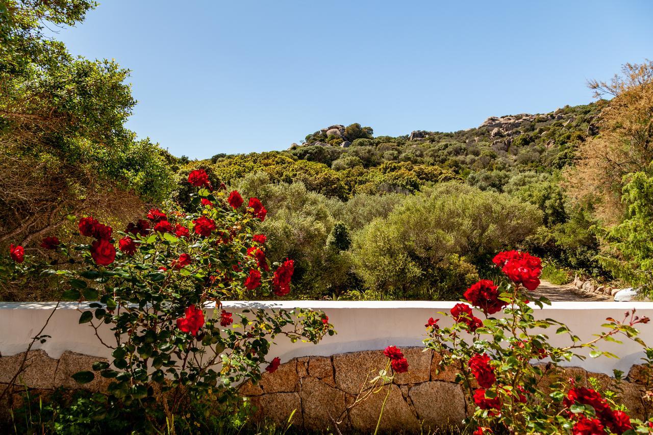 Casa Saltara (Adults Only) Vila Santa Teresa Gallura Exterior foto