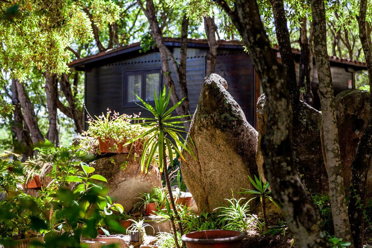Casa Saltara (Adults Only) Vila Santa Teresa Gallura Exterior foto